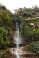 Pandanus sp. clumps edging a waterfall along a sandstone cliff, Harau valley, West Sumatra