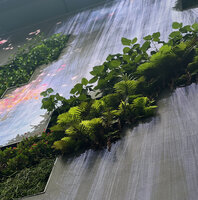 Part of the Living and Digital Waterfall by Patrick Blanc and TeamLab, C Future City, Shenzhen
