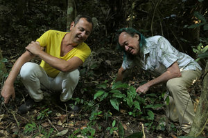 Pascal Heni and Patrick Blanc observing an Aspidistra population in forest understory, Ba Be NP, Vietnam, Nov. 2017