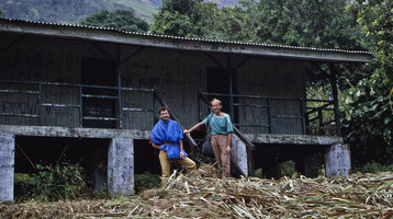 Pascal Heni and Patrick Blanc out of a sleeping refuge on Mount Cameroon, 1991