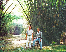 Pascal Heni and Patrick Blanc standing at the base of a clump of the spiny Bambusa arundinacea, Mudumalai NP, India, Sept. 2002