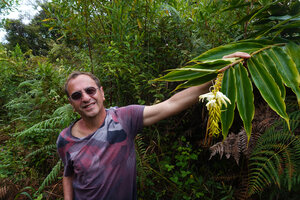 Pascal Héni holding the pendulous inflorescence of Riedelia lanata, Anggi Lakes, 2000 m asl, Arfak Mts, West Papua, May 2025