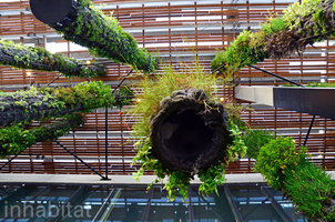 Patrick-Blanc-Perez-Art-Musuem-Hanging-Vertical-Garden-THE-lead