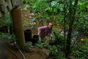 Patrick Blanc above a flowering population of Crinum thaianum in disturbed habitat, Kura Buri, Phang Nga, Thailand, Dec 2015