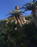Patrick Blanc above Aloe and Opuntia, Botanical Garden, Eze Village, Alpes Maritimes, France, Aug. 2015