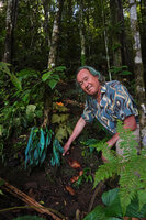 Patrick Blanc above a very bright blue iridescent individual of Antrophyum callifolium in the deep shade of forest understory, Warsambin, Waigeo, Raja Ampat, West Papua, May 2025