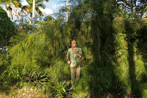 Patrick Blanc against a stone wall covered by Russelia equisetiformis, Las Terrazas, Cuba, Feb. 2017