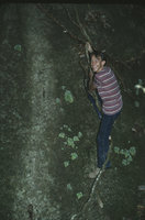 Patrick Blanc along a rock covered by Loxocarpus incanus, Penang, Malaysia, 1984