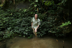 Patrick Blanc among a vegetative clump of a rheophytic Elatostema, Putao, Kachin, Myanmar, Dec. 2017