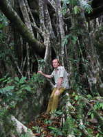 Patrick Blanc among Ficus roots, Andaman, March 2008