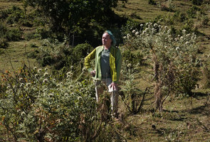 Patrick Blanc among flowering Echinops macrochaetus, Simien NP, Ethiopia, Jan. 2019