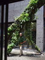 Patrick Blanc among his Racines Echasses, one month after plant installation, Le Sereno, Como Lake, Italy