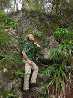 Patrick Blanc among Iris confusa and Pilea plataniflora on vertical limestone shaded cliff, Kunming, China, July 2016