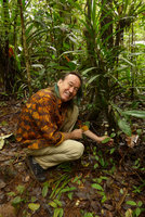 Patrick Blanc among leaf litter flowering branches of Syzygium gracilipes, Colo-I-Suva, Viti Levu, Fiji, Aug. 2016