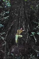 Patrick Blanc among lianas, La Lopé NP, Gabon, Dec. 1983