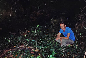 Patrick Blanc among rheophytic Piptospatha, Kinabalu NP, Sabah, July 1984