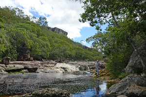 Patrick Blanc among riparian and rheophytic trees, Chapada Diamantina, Brazil, July 2012