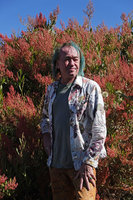 Patrick Blanc among Rumex nervosus inflorescences, Simien NP, Ethiopia, Jan. 2019