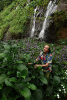 Patrick Blanc among the beautiful but somewhat invasive Brillantaisia owariensis , Anse aux Cascades, La Reunion, Oct. 2015
