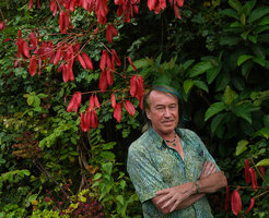 Patrick Blanc among the bright red maturing pods of Mezoneuron (syn. Caesalpinia) latisiliquum, Sukau, Kinabatangan, Sabah, Borneo, July 2022