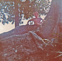 Patrick Blanc among the buttresses of a Ficus during his first field trip in tropical rain forest, Khao Yai NP, Thailand, Aug. 1972