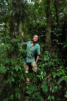 Patrick Blanc among the epiphytic long climbing stems of Aeschynanthus parviflorus , Bidoup Nui Ba NP, Vietnam, Nov. 2019