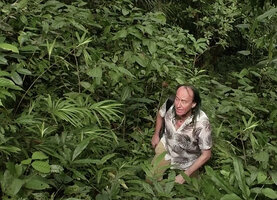 Patrick Blanc among the erect stems of Freycinetia marantifolia, Kundiman, Karawari, East Sepik, Papua New Guinea, March 2016