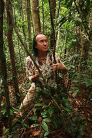 Patrick Blanc among the freely hanging spiny feeding roots of a Cercestis blancii growin 10 m above along small tree branches, Ebodjé, Campo, Cameroon, March 2018