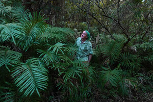 Patrick Blanc among the fronds of Blechnum corbassonii, Mont Dore, New Caledonia, Aug. 2023