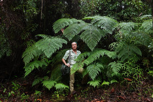 Patrick Blanc among the fronds of Calochlaena straminea, Kolombangara,Solomon Islands, Sept. 2019