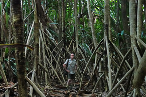 Patrick Blanc among the huge stilt roots of Pandanus dubius, Nggatirana, Halisi, Solomon Islands, Sept. 2019