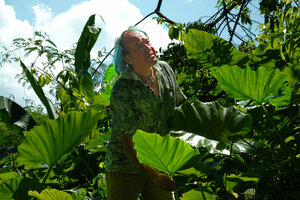 Patrick Blanc among the leaves of Englerarum montanum, Chiang Dao, Thailand, Oct. 2023.