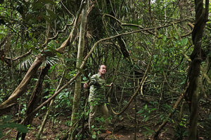 Patrick Blanc among the liana stems of Bauhinia cardinalis, Cat Tien NP, Vietnam, Nov. 2019