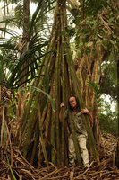 Patrick Blanc among the stilt roots and dead fallen leaves of a Pandanus, Mahawu volcano, Tomohon, Sulawesi, Aug. 2015