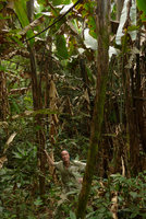 Patrick Blanc among the stipes of the huge Phenakospermum guyannense in riverine forest, Lagos de Menegua, Puerto Lopez, Meta, Colombia, Oct. 2016