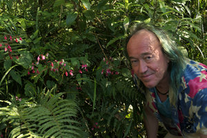 Patrick Blanc and a Begonia, Thac Tinh Yeu, Sapa, Vietnam, Nov. 2017 