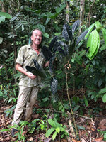 Patrick Blanc and a black leaved form of Piper augustum, Calanoa, Leticia, Colombia, Nov. 2016