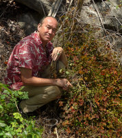 Patrick Blanc and a creeping brown leaved form of Christia obcordata, Khon Kaen, Thailand, June 2016