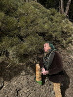 Patrick Blanc and a dense population of Genista radiata totally green after many winter months under snow cover, Megève, France, March 2025