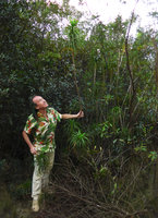 Patrick Blanc and a Dracaena cubensis basally branched individual on serpentine rocks, Holguin, Cuba, Feb. 2017