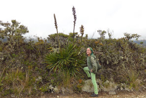 Patrick Blanc and a flowering and fruiting clump of Puya santosii, Chingaza paramo, Bogota, Colombia, Oct. 2016
