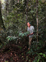 Patrick Blanc and a flowering clump of Alpinia domatifera, Kwau, Arfak Mts, 1600 m asl, West Papua, May 2025