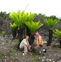 Patrick Blanc and a friend at the base of Encephalartos hildebrandtii producing flushes of young new fronds after fire, Zanzibar, Tanzania, June 2006