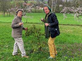Patrick Blanc and Agnes Nicolas around a Lauraceous shrub at La Medicee, France, March 2024