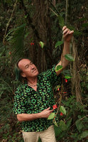 Patrick Blanc and a hanging flowering stem of Begonia radicans, Serra do Tabuleiro, Santa Catarina, Brazil, Oct. 2018