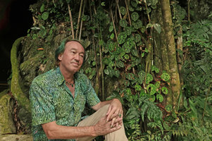 Patrick Blanc and a heavily spotted population of Begonia kingiana, Banjaran, Ipoh, Malaysia, Aug. 2018