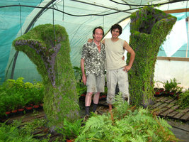 Patrick Blanc and Alexis Tricoire during the preparation of the mossy armchairs at the Olivier Ezavin nursery  for the EDF Electra exhibition, July 2006
