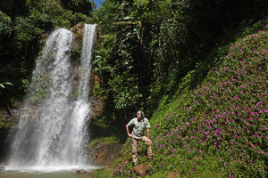 Patrick Blanc and a lush population of Impatiens chevalieri, Dambri Waterfall, Bao Loc, Vietnam, Nov. 2019
