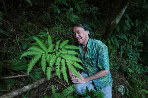 Patrick Blanc and an Adiantum frond in karst forest at dusk, Candelaria, Alta Verapaz, Guatemala, Jan. 2020