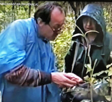 Patrick Blanc and Annette Hladik by a rainy day, in Ravenala blancii and R. hladikorum  forest habitat, Andasibe, Madagascar, June 1998